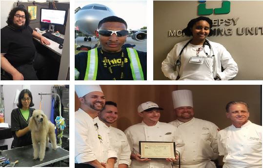 Man working at a computer, man working at an airport, woman working in healthcare, woman working as a dog groomer, group of chefs and cooks.