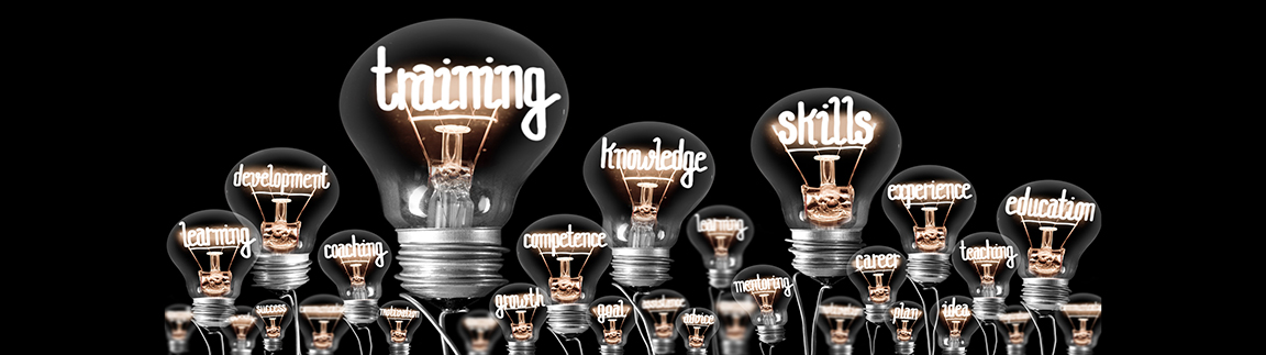 Image of light bulbs containg the words learning, development, coaching, training, success, growth, competence, knowledge, goal, advice, skills, mentoring, career, experience, plan, idea, teaching, education.